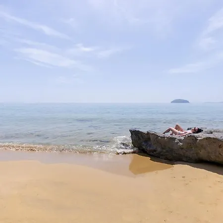 The Manor * Palaiontsiflikion