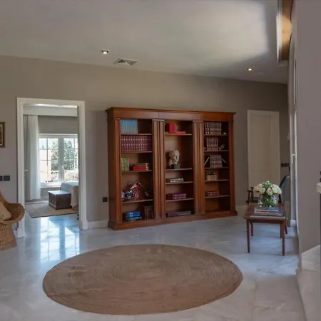 ヴィラ The Manor PalaiónTsiflíkion