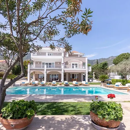 빌라 The Manor PalaiónTsiflíkion