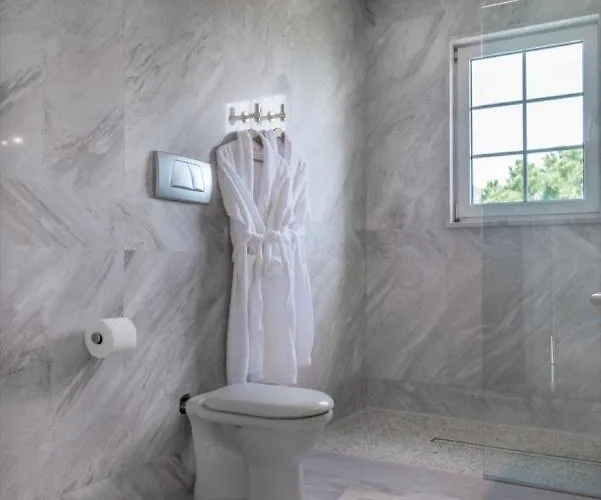 The Manor Villa PalaiónTsiflíkion